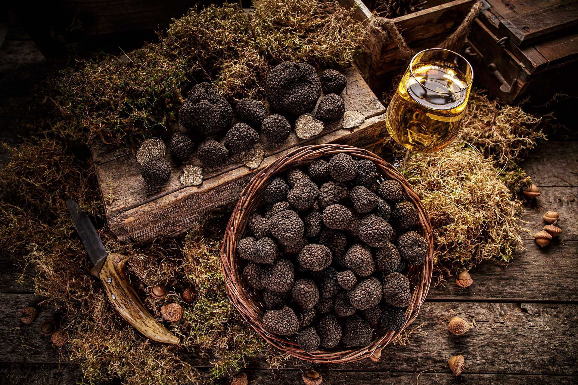 tartufo orvieto